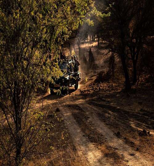 adventure activities-jeep-safari-forest