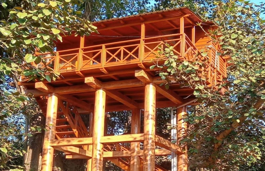 Phato-Safari-Zone-Night Stay at Lodge-jim-corbett-tree-hose