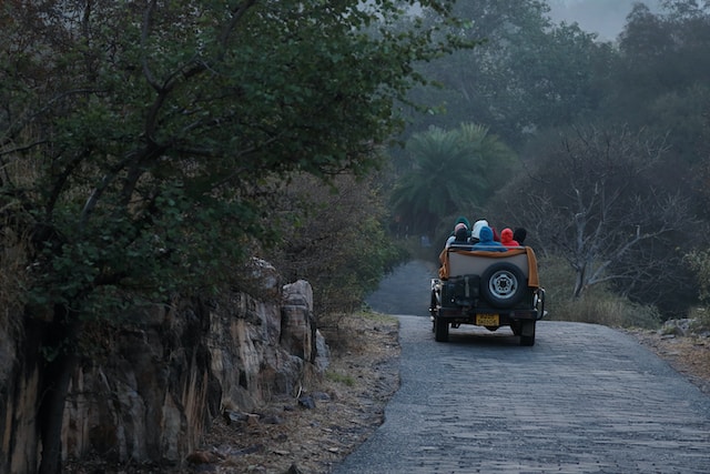 Jeep Safari-Canter Safari-Tour Packages-Resorts